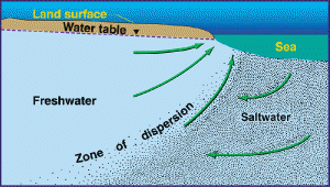 Saline Water Intrusion in Coastal Part of Bangladesh