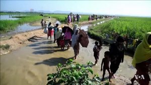 Who are the Rohingyas?