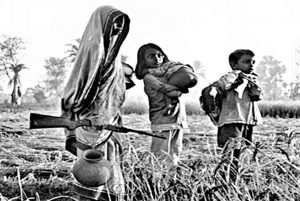 Contribution of Bangladeshi Women to the Liberation War