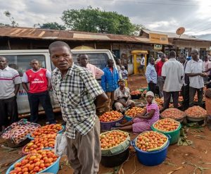 Unlocking Agricultural Potential in Africa