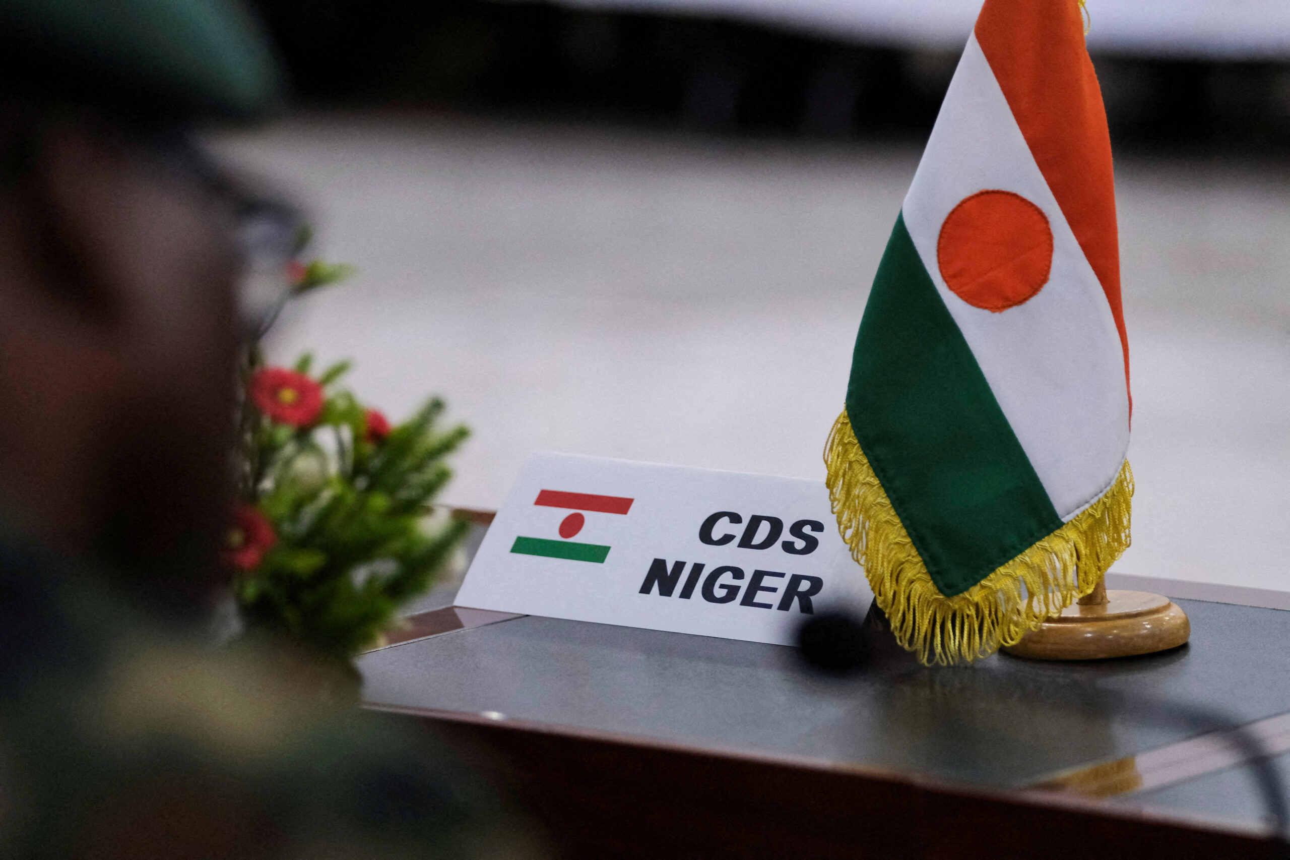 Impact of Instability in Niger